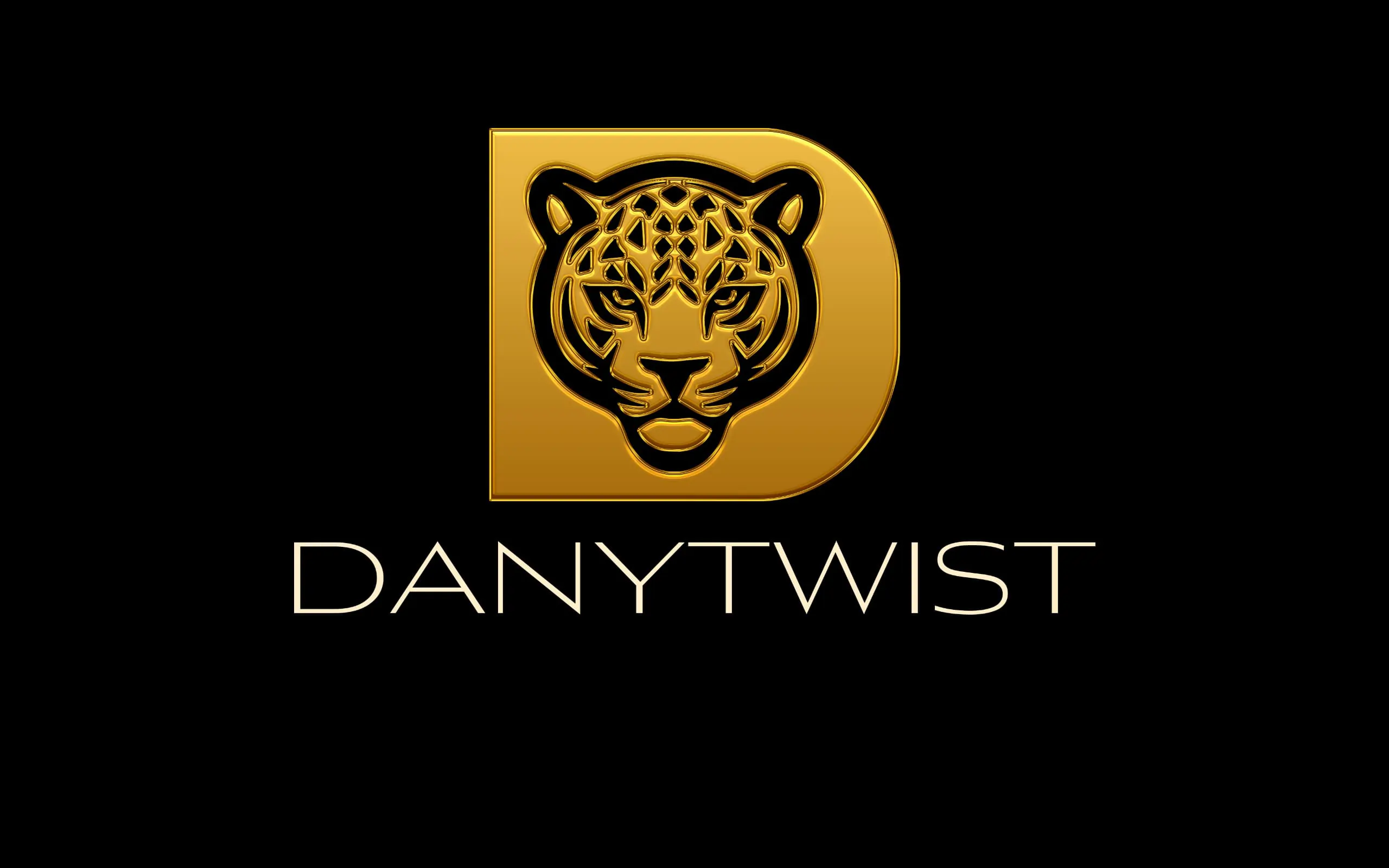 Danytwist logo